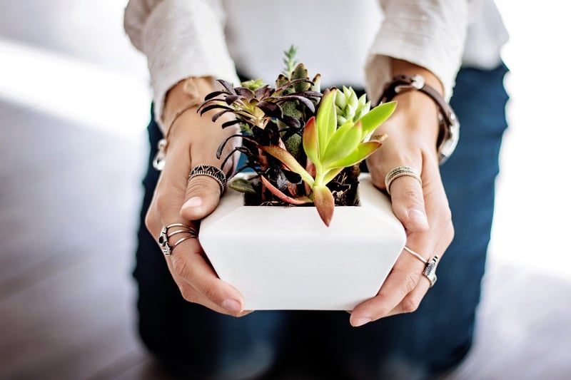Recycled Container Garden