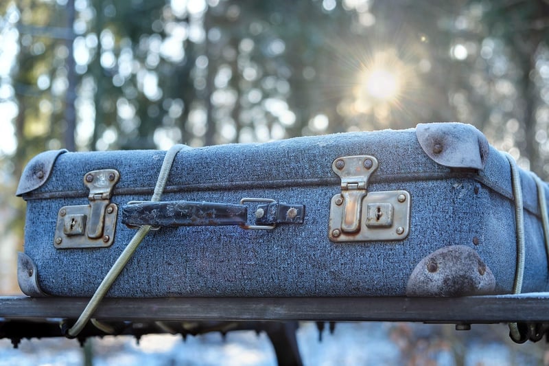 Suitcase Planter