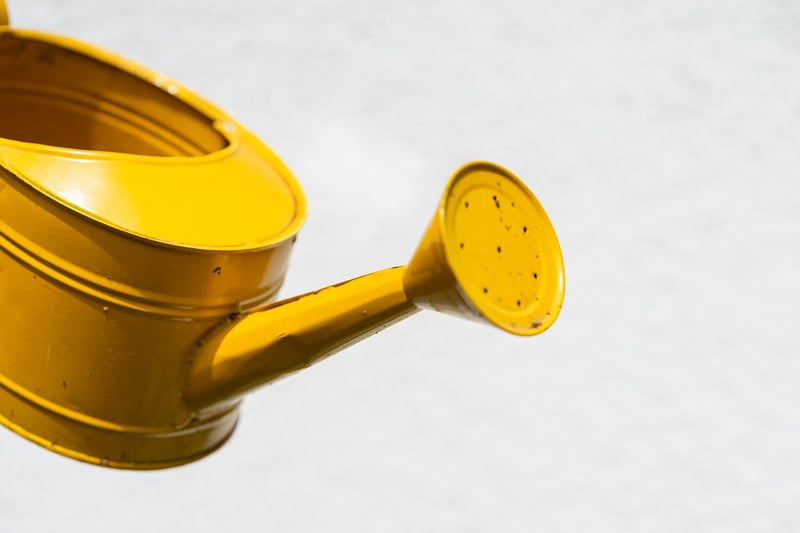 Watering Wand